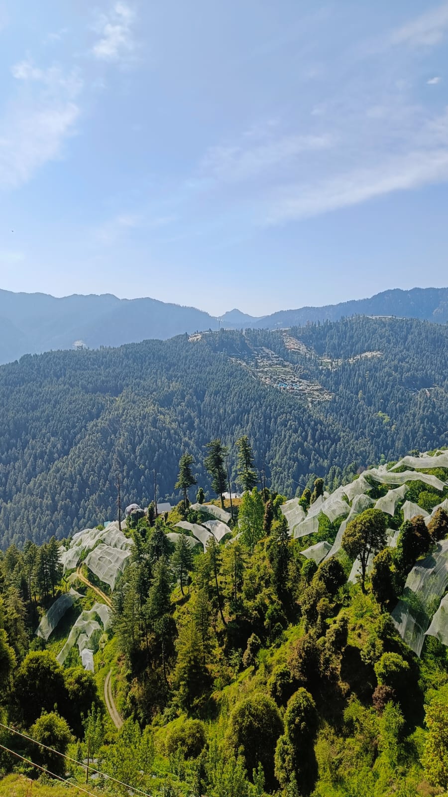 Universal Studios Singapore Special Ticket